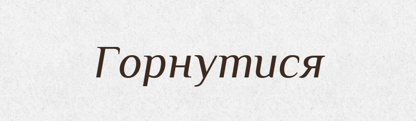 Горнутися — Тлумачний словник української мови