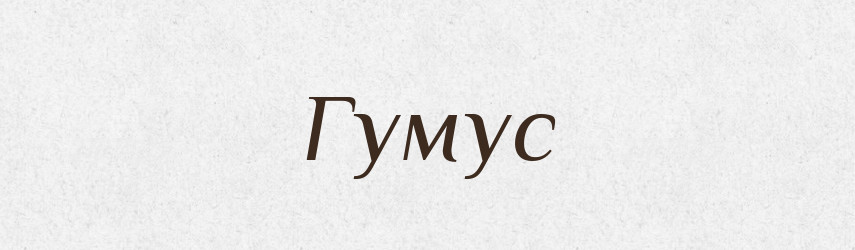 Гумус — Тлумачний словник української мови