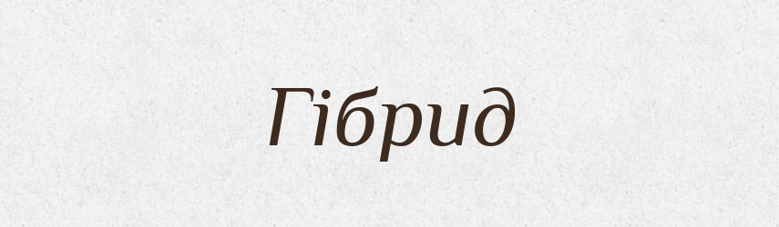 Гібрид — Тлумачний словник української мови