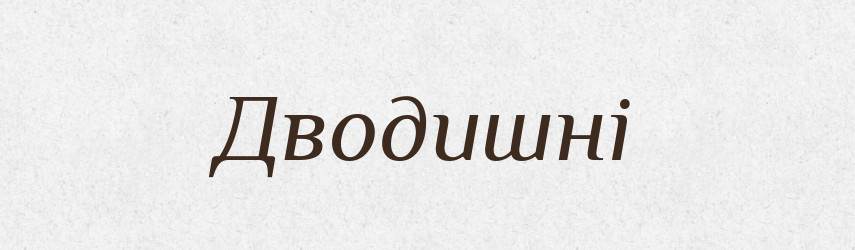 Дводишні — Тлумачний словник української мови