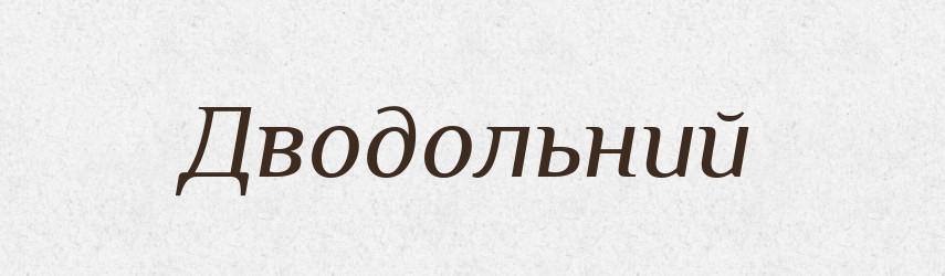 Дводольний — Тлумачний словник української мови