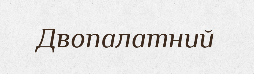 Двопалатний — Тлумачний словник української мови