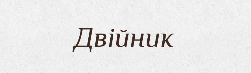 Двійник — Тлумачний словник української мови