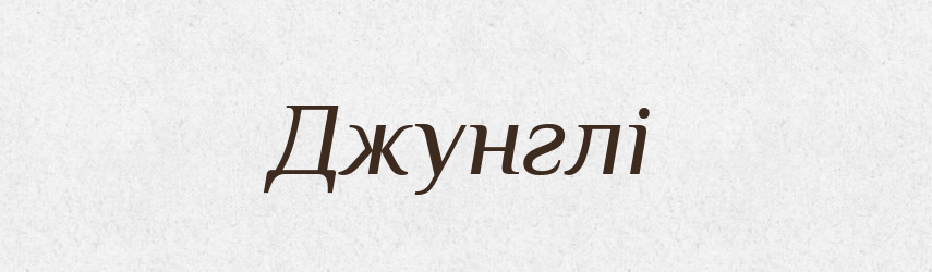 Джунглі — Тлумачний словник української мови