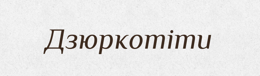 Дзюркотіти — Тлумачний словник української мови