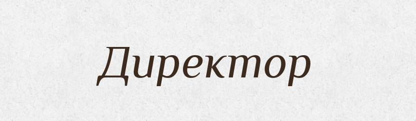 Директор — Тлумачний словник української мови
