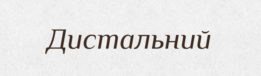 Дистальний — Тлумачний словник української мови