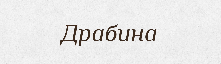 Драбина — Тлумачний словник української мови