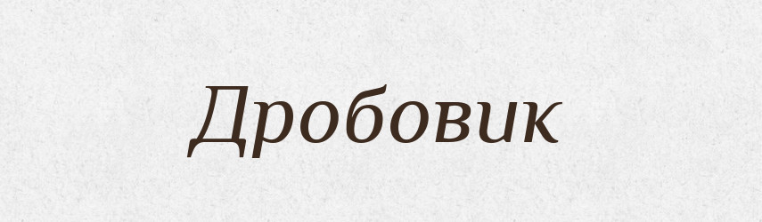 Дробовик — Тлумачний словник української мови
