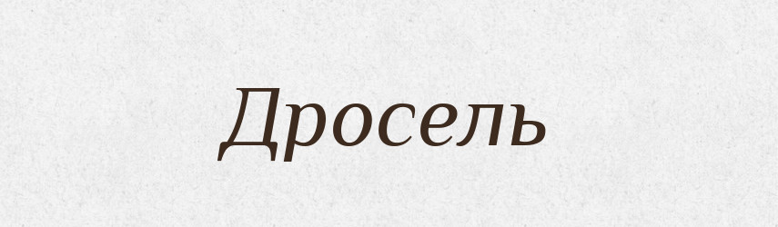 Дросель — Тлумачний словник української мови