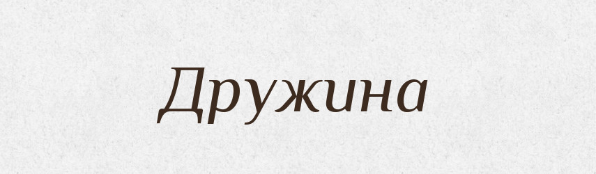Дружина — Тлумачний словник української мови