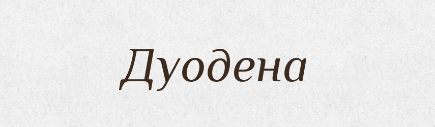 Дуодена — Тлумачний словник української мови
