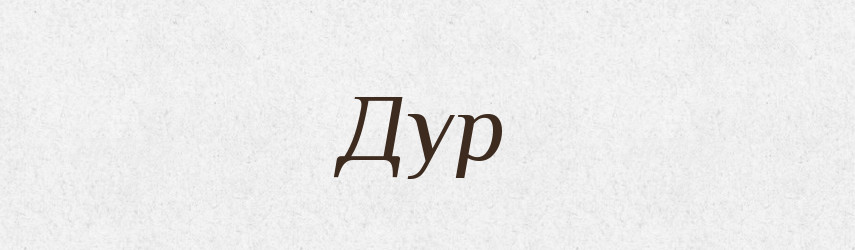 Дур — Тлумачний словник української мови