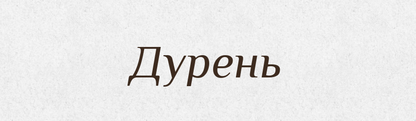 Дурень — Тлумачний словник української мови