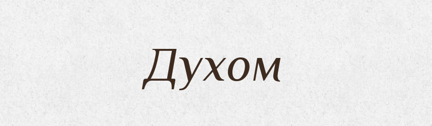 Духом — Тлумачний словник української мови
