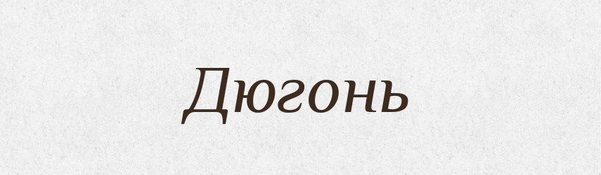 Дюгонь — Тлумачний словник української мови