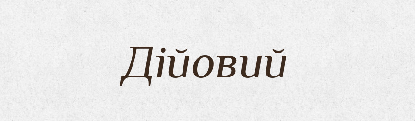 Дійовий — Тлумачний словник української мови