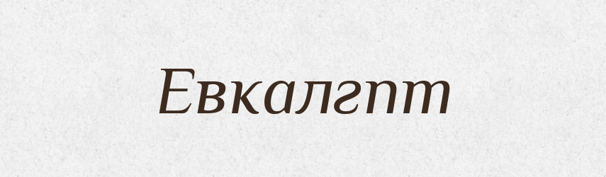 Евкалгпт — Тлумачний словник української мови