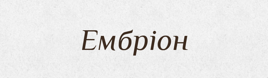 Ембріон — Тлумачний словник української мови