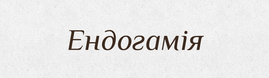 Ендогамія — Тлумачний словник української мови