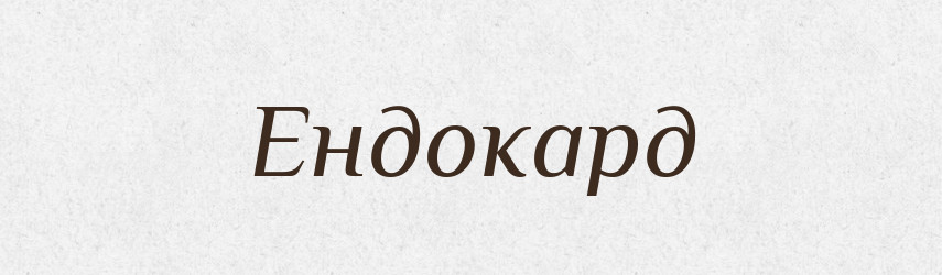 Ендокард — Тлумачний словник української мови