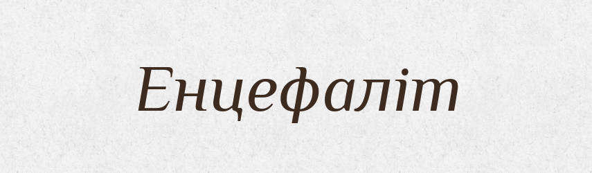 Енцефаліт — Тлумачний словник української мови