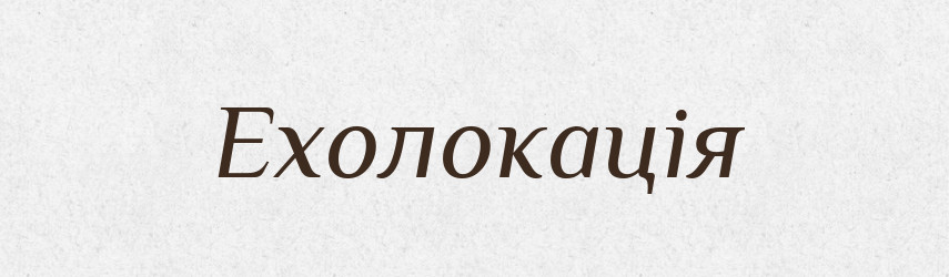 Ехолокація — Тлумачний словник української мови