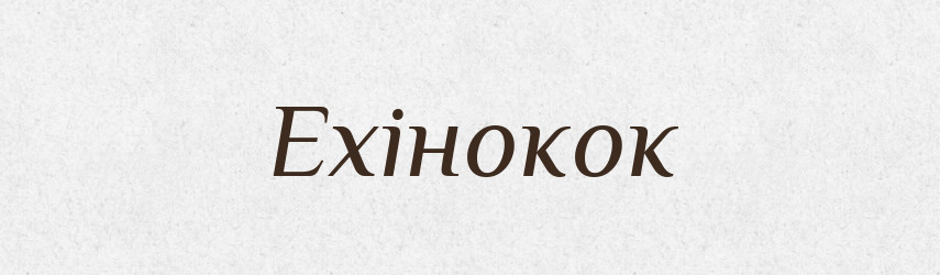 Ехінокок — Тлумачний словник української мови