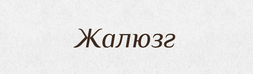 Жалюзг — Тлумачний словник української мови