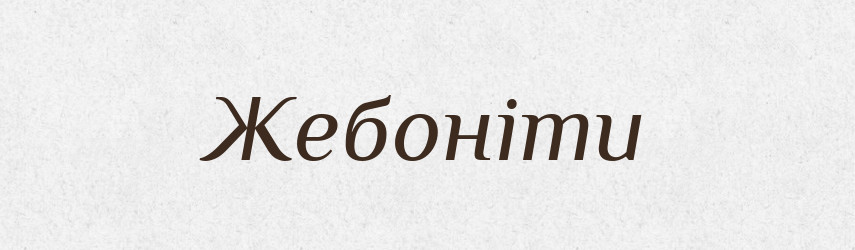 Жебоніти — Тлумачний словник української мови