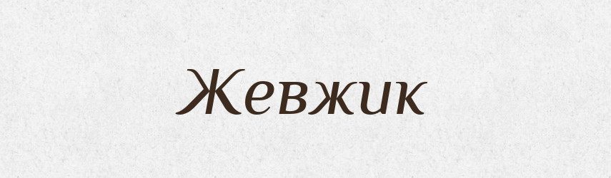 Жевжик — Тлумачний словник української мови