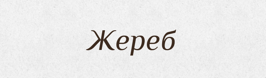 Жереб — Тлумачний словник української мови