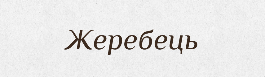 Жеребець — Тлумачний словник української мови