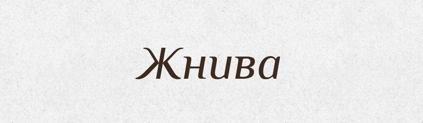 Жнива — Тлумачний словник української мови