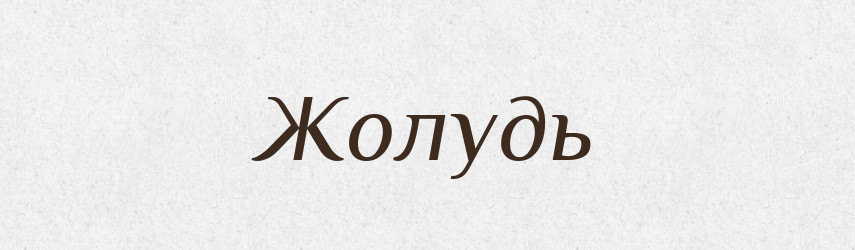 Жолудь — Тлумачний словник української мови