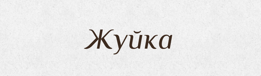 Жуйка — Тлумачний словник української мови