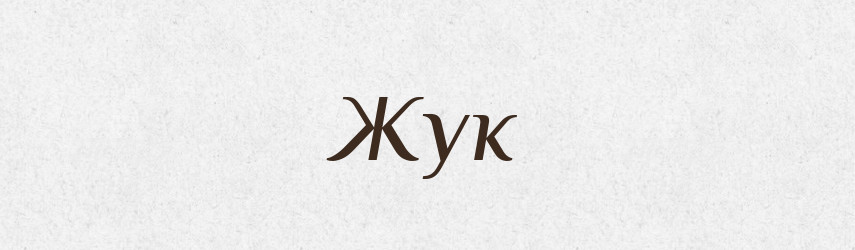 Жук — Тлумачний словник української мови