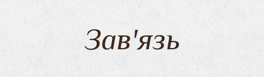 Зав'язь — Тлумачний словник української мови
