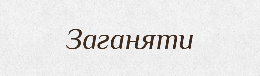 Заганяти — Тлумачний словник української мови