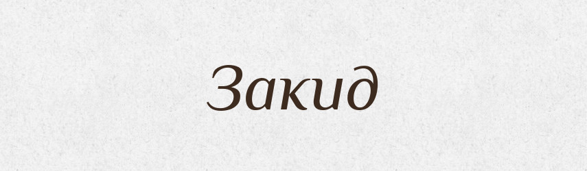 Закид — Тлумачний словник української мови