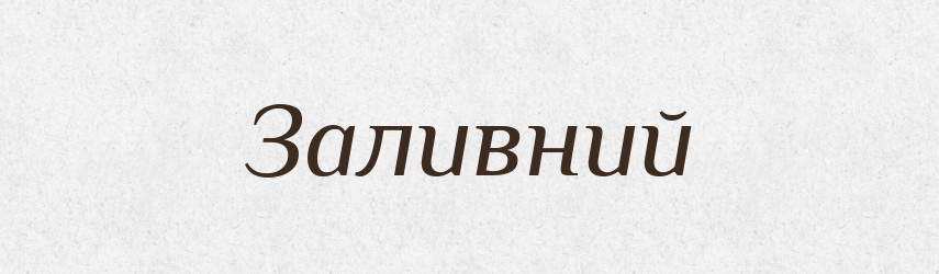 Заливний — Тлумачний словник української мови