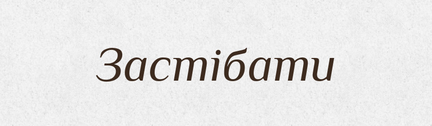 Застібати — Тлумачний словник української мови