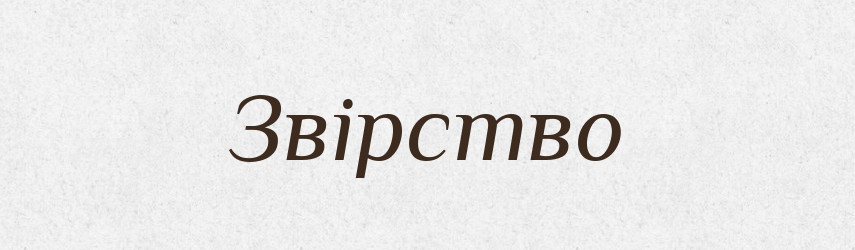 Звірство — Тлумачний словник української мови