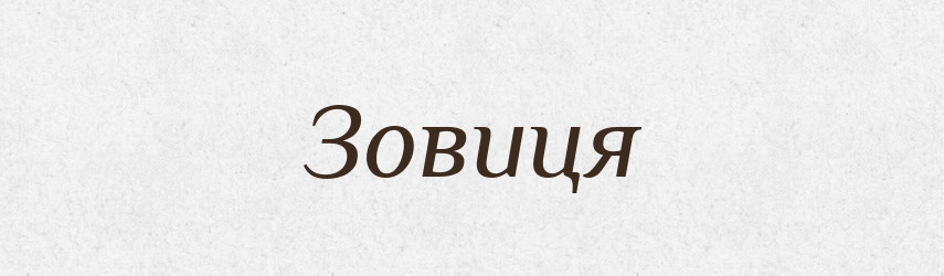 Зовиця — Тлумачний словник української мови