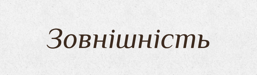 Зовнішність — Тлумачний словник української мови