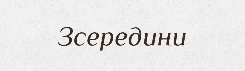 Зсередини — Тлумачний словник української мови