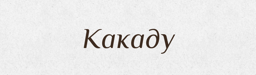 Какаду — Тлумачний словник української мови