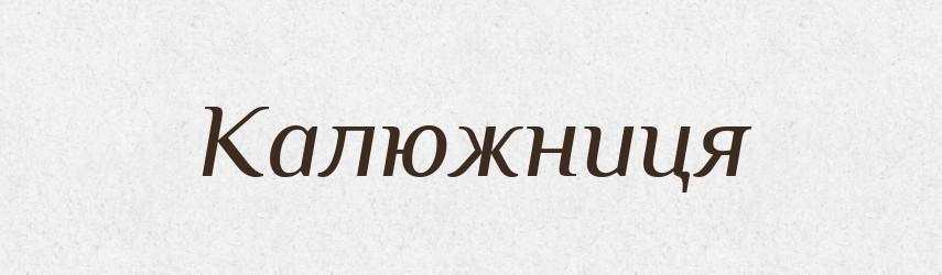 Калюжниця — Тлумачний словник української мови