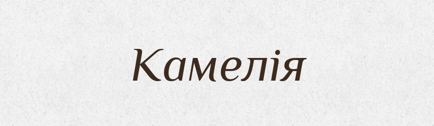 Камелія — Тлумачний словник української мови