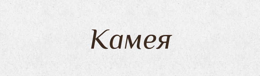 Камея — Тлумачний словник української мови
